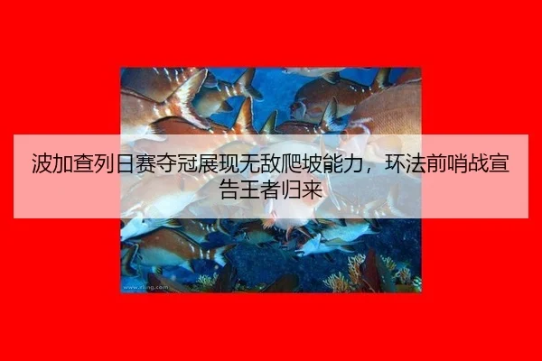 bo-jia-cha-lie-ri-sai-duo-guan-zhan-xian-wu-di-pa-po-neng-li-huan-fa-qian-shao-zhan-xuan-gao-wang-zhe-gui-lai-2-871.jpg